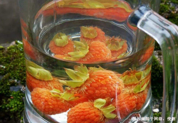 美国覆盆子籽油进口清关